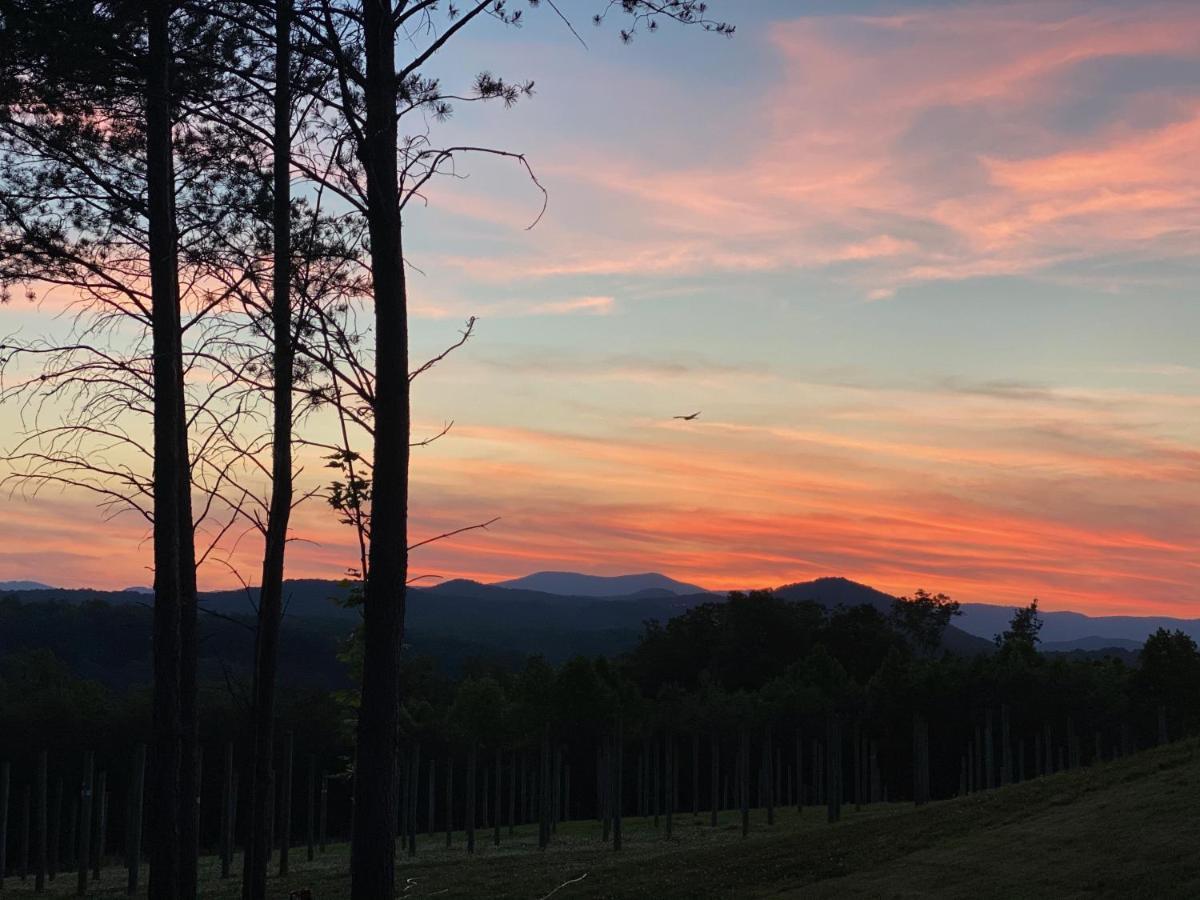 A Suite With A View + Wine Mount Airy Εξωτερικό φωτογραφία
